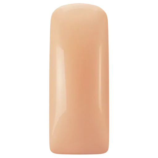 231475  Pastel Blushes Peachy