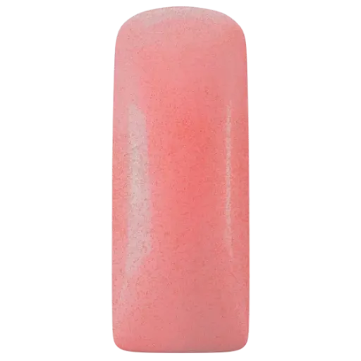 231487 Blushes Popy