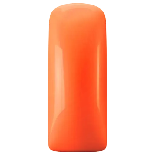 231490 Blushes Neon Orange
