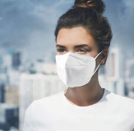 [333001] FFP 2 mondmaskers wit